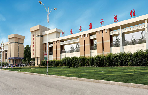 山东技师学院独具一格的办学特色和优势